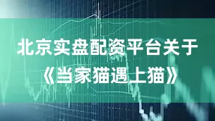 北京实盘配资平台关于《当家猫遇上猫》