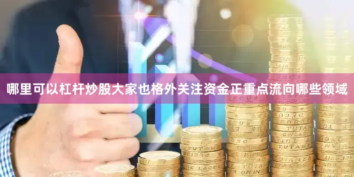 哪里可以杠杆炒股大家也格外关注资金正重点流向哪些领域
