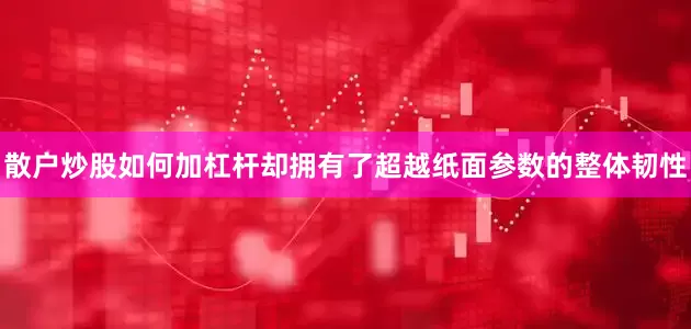 散户炒股如何加杠杆却拥有了超越纸面参数的整体韧性