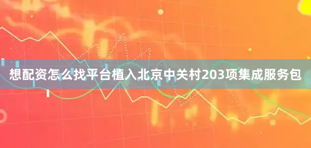想配资怎么找平台植入北京中关村203项集成服务包