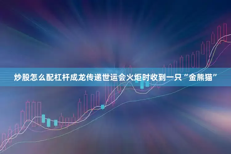 炒股怎么配杠杆成龙传递世运会火炬时收到一只“金熊猫”