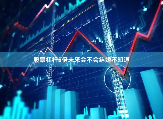 股票杠杆5倍未来会不会结婚不知道