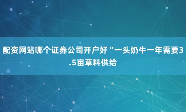 配资网站哪个证券公司开户好“一头奶牛一年需要3.5亩草料供给