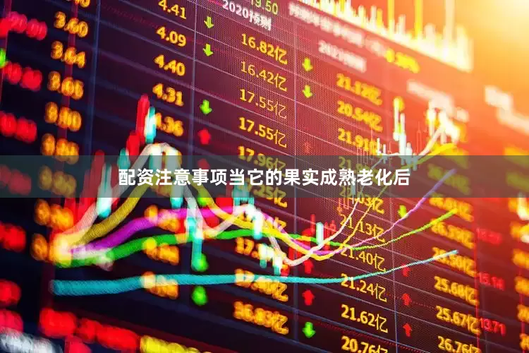 配资注意事项当它的果实成熟老化后